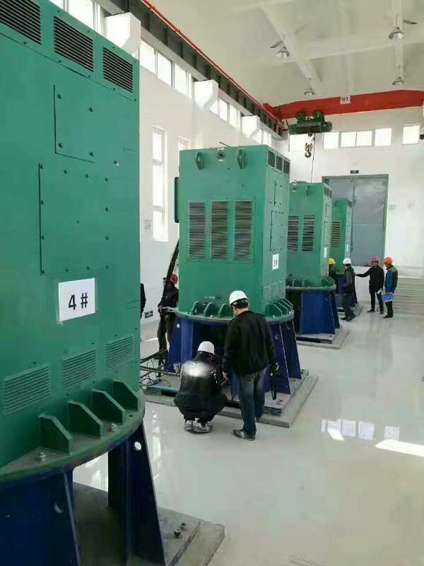 赣榆某污水处理厂使用我厂的立式高压电机安装现场
